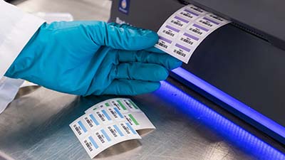 A lab technician printing labels and using the automatic cutter to separate them into sheets.