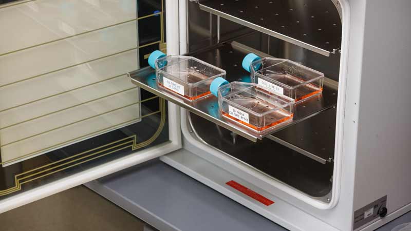 Three containers on a rack, each equipped with durable Brady heat-resistant lab labels, prepared for placement in an incubator to withstand high temperatures.