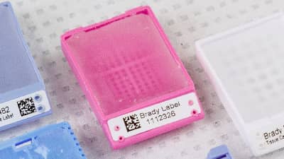 A tissue cassette identified with a white label.