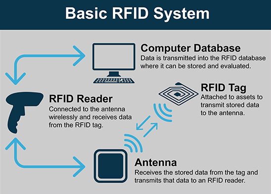 Diagram of an RFID system. Reader emits signal, tag sends back identifier, database accesses information about tag.